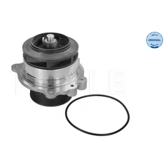 Pompe à eau MEYLE OEM 1738991