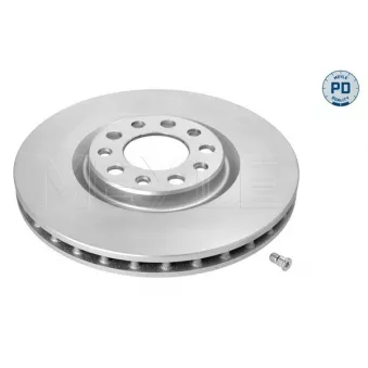 Jeu de 2 disques de frein avant MEYLE OEM 51937304