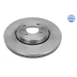Jeu de 2 disques de frein avant MEYLE [16-15 521 0004]