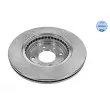 MEYLE 16-15 521 0036 - Jeu de 2 disques de frein avant