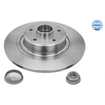 Jeu de 2 disques de frein arrière MEYLE OEM 432027259R