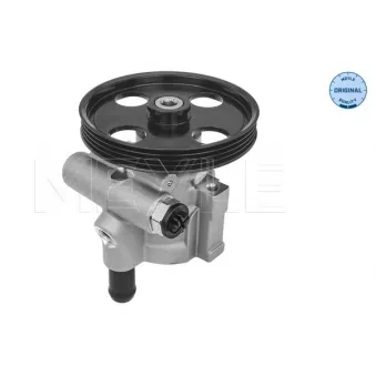 Pompe hydraulique, direction MEYLE OEM 491106408R
