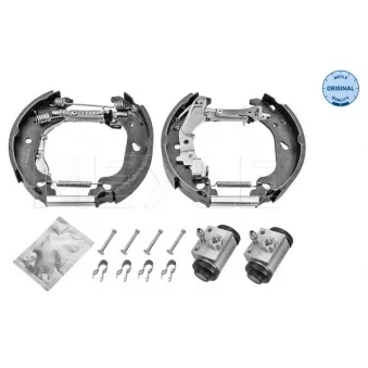 Kit de freins arrière (prémontés) MEYLE OEM 77362296