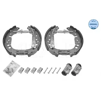 Kit de freins arrière (prémontés) MEYLE OEM 77363849