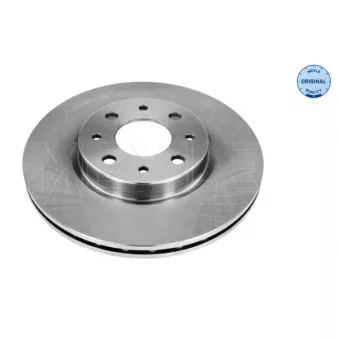 Jeu de 2 disques de frein avant MEYLE OEM 71738145