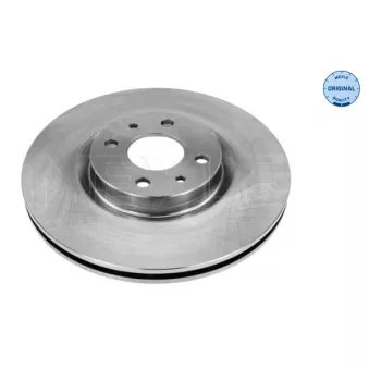 Jeu de 2 disques de frein avant MEYLE OEM 46403958