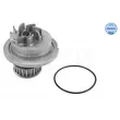 MEYLE 29-13 220 0001 - Pompe à eau