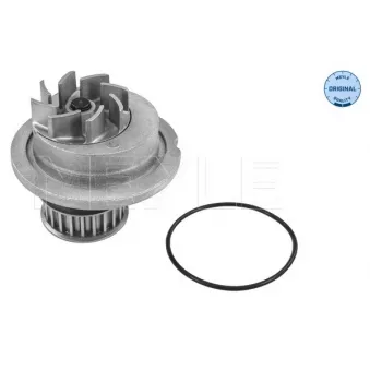Pompe à eau MEYLE OEM 96499089