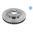 Jeu de 2 disques de frein avant MEYLE [30-15 521 0079]