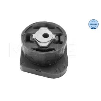 Suspension, boîte automatique MEYLE OEM 22313421301