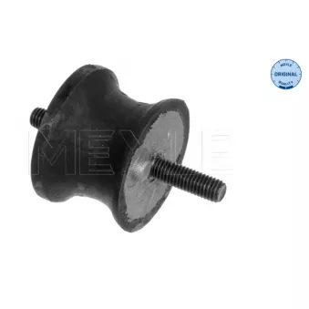 Suspension, boîte automatique MEYLE OEM 22316771220