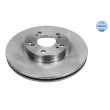 Jeu de 2 disques de frein avant MEYLE [31-15 521 0054]