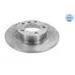 Jeu de 2 disques de frein avant MEYLE [315 521 0022]