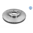 Jeu de 2 disques de frein avant MEYLE [315 521 3070]