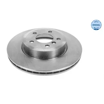 Jeu de 2 disques de frein avant MEYLE OEM 34113400151