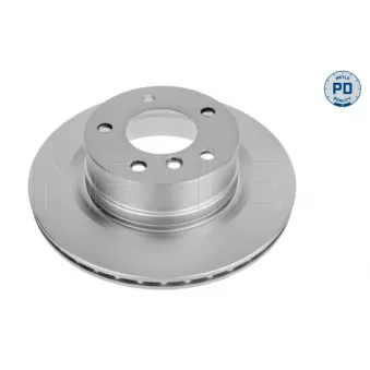 Jeu de 2 disques de frein arrière MEYLE OEM 6778051