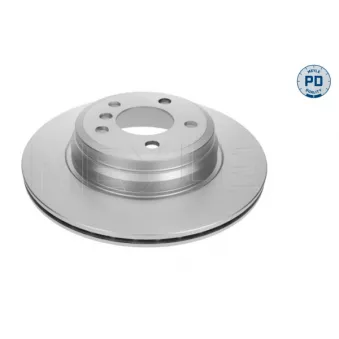 Jeu de 2 disques de frein arrière MEYLE OEM 6792233