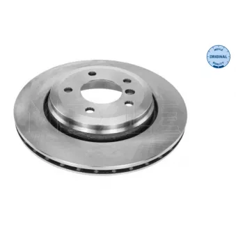 Jeu de 2 disques de frein arrière MEYLE OEM 34201166073