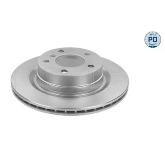 Jeu de 2 disques de frein arrière MEYLE 315 523 0049/PD pour BMW Série 1 118 d - 136cv