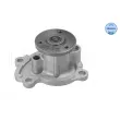 MEYLE 36-13 220 0013 - Pompe à eau