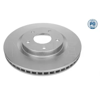 Jeu de 2 disques de frein avant MEYLE OEM 40206JG00C