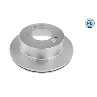 Jeu de 2 disques de frein arrière MEYLE OEM 584113E300