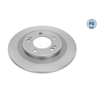 Jeu de 2 disques de frein arrière MEYLE OEM 584113Z100