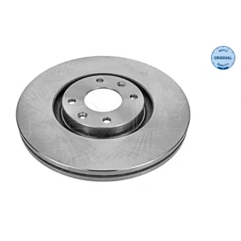 Jeu de 2 disques de frein avant MEYLE OEM 4246C0