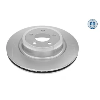 Jeu de 2 disques de frein arrière MEYLE OEM 4779438AB