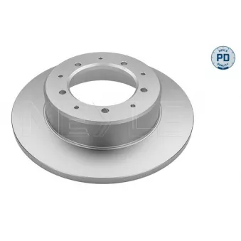 Jeu de 2 disques de frein arrière MEYLE OEM FTC3846