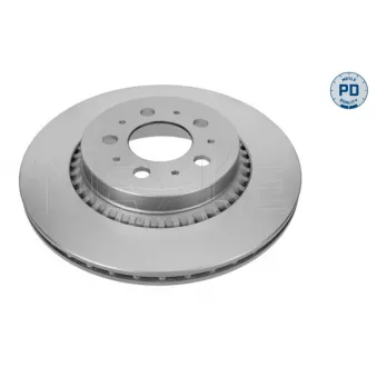 Jeu de 2 disques de frein arrière MEYLE OEM 8624926