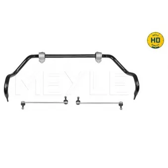 Stabilisateur, chassis MEYLE OEM RBL500732