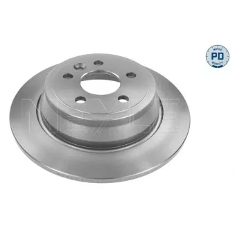 Jeu de 2 disques de frein arrière MEYLE OEM LR039935