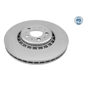 Jeu de 2 disques de frein avant MEYLE OEM 30657301