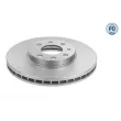 Jeu de 2 disques de frein avant MEYLE [615 521 0009/PD]