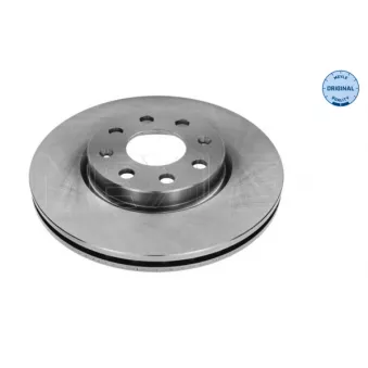 Jeu de 2 disques de frein avant MEYLE OEM 13317922