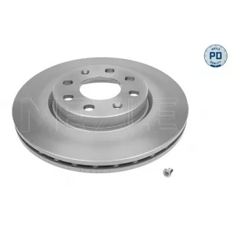 Jeu de 2 disques de frein avant MEYLE OEM 13317922
