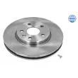 Jeu de 2 disques de frein avant MEYLE [615 521 0031]