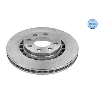 Jeu de 2 disques de frein avant MEYLE OEM 90295087