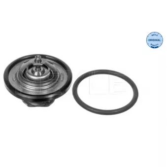 Thermostat, liquide de refroidissement MEYLE OEM 1338044