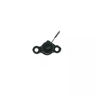 Tendeur de courroie, courroie trapézoïdale à nervures AISIN OEM 1354062021