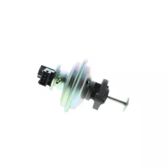 Vanne EGR AISIN OEM 7801942