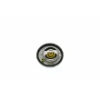 AISIN THRAZ-7031 - Thermostat, liquide de refroidissement