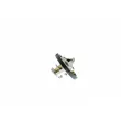 AISIN THRAZ-7031 - Thermostat, liquide de refroidissement