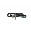 AISIN TSN-902 - Kit de distribution