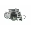 AISIN WPH-019 - Pompe à eau