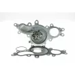 Pompe à eau AISIN [WPT-187]