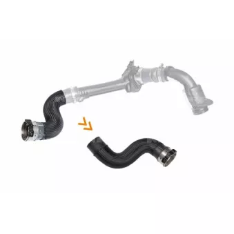 Gaine de suralimentation NRF 166167
