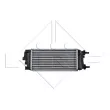 NRF 30183 - Intercooler, échangeur