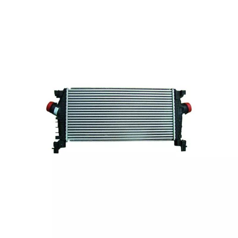 Intercooler, échangeur NRF 30318 - Visuel 1